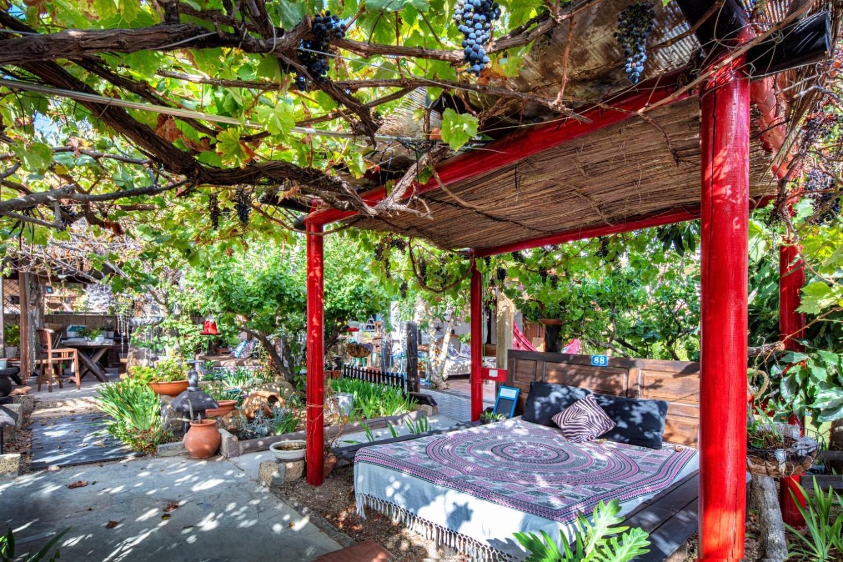 Casas Alberto Teleworking (Adults Only) San Miguel de Abona Exterior foto